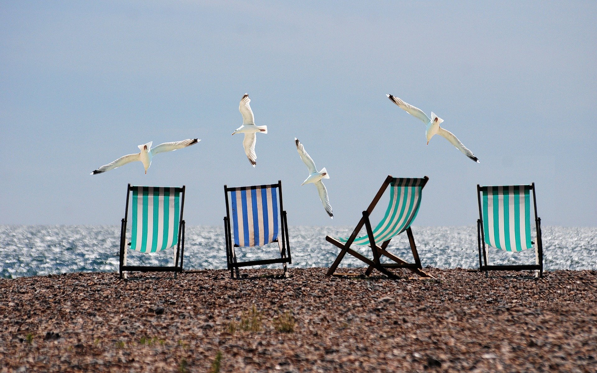 Strandstoelen- waar moet je op letten voordat je koopt?